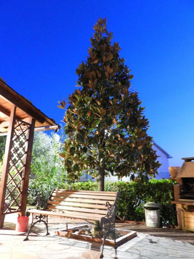 Appartement Casa Di Angela à Torrita di Siena Extérieur photo